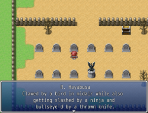 Ninjagaiden.png