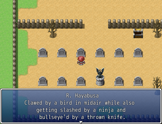 Ninjagaiden.png